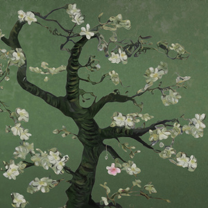 哔哩哔哩高清观看免费网站大全
