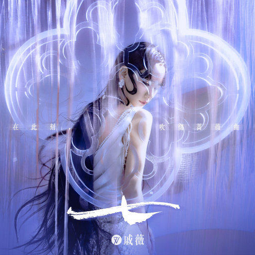 哔哩哔哩高清观看免费网站大全
